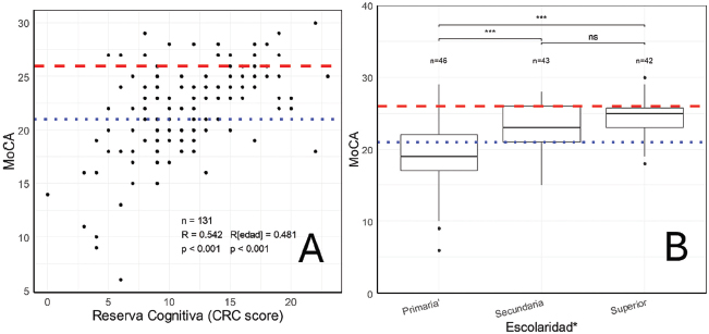 Relación entre medidas cognitivas. Panel A: scatter plot de los resultados del cuestionario de reserva cognitiva (CRC) y los del Montreal Cognitive Assessment (MoCA) junto con los resultados de la correlación Pearson. Panel B: boxplots de los puntajes de MoCA en función del grupo de escolaridad agrupada (* los estudios primarios, analfabetos y autodidactas han sido agrupados). N.S: no significativa, *** p < 0,001. La línea de puntos azul muestra el valor de corte menor (Ismail et al., 2025) y la línea discontinua roja muestra el valor de corte mayor (Nasreddine et al., 2005).